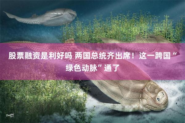 股票融资是利好吗 两国总统齐出席！这一跨国“绿色动脉”通了