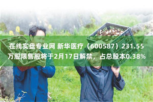 在线实盘专业网 新华医疗（600587）231.55万股限售股将于2月17日解禁，占总股本0.38%