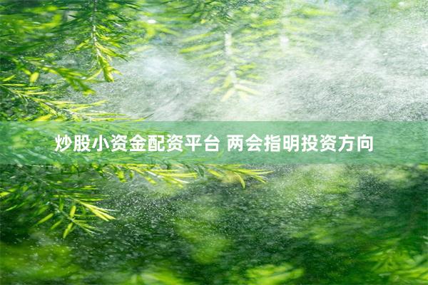 炒股小资金配资平台 两会指明投资方向