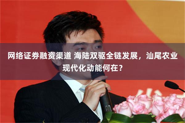 网络证劵融资渠道 海陆双驱全链发展，汕尾农业现代化动能何在？
