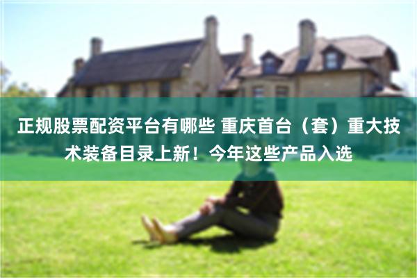 正规股票配资平台有哪些 重庆首台（套）重大技术装备目录上新！今年这些产品入选