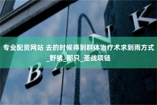 专业配资网站 去的时候得到群体治疗术求到雨方式_野猪_那只_圣战项链