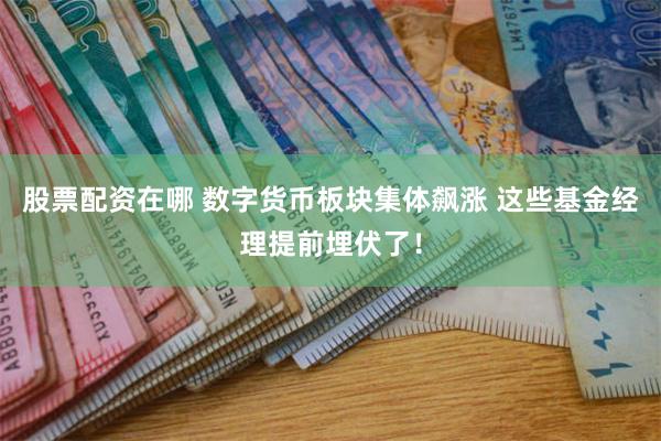 股票配资在哪 数字货币板块集体飙涨 这些基金经理提前埋伏了！